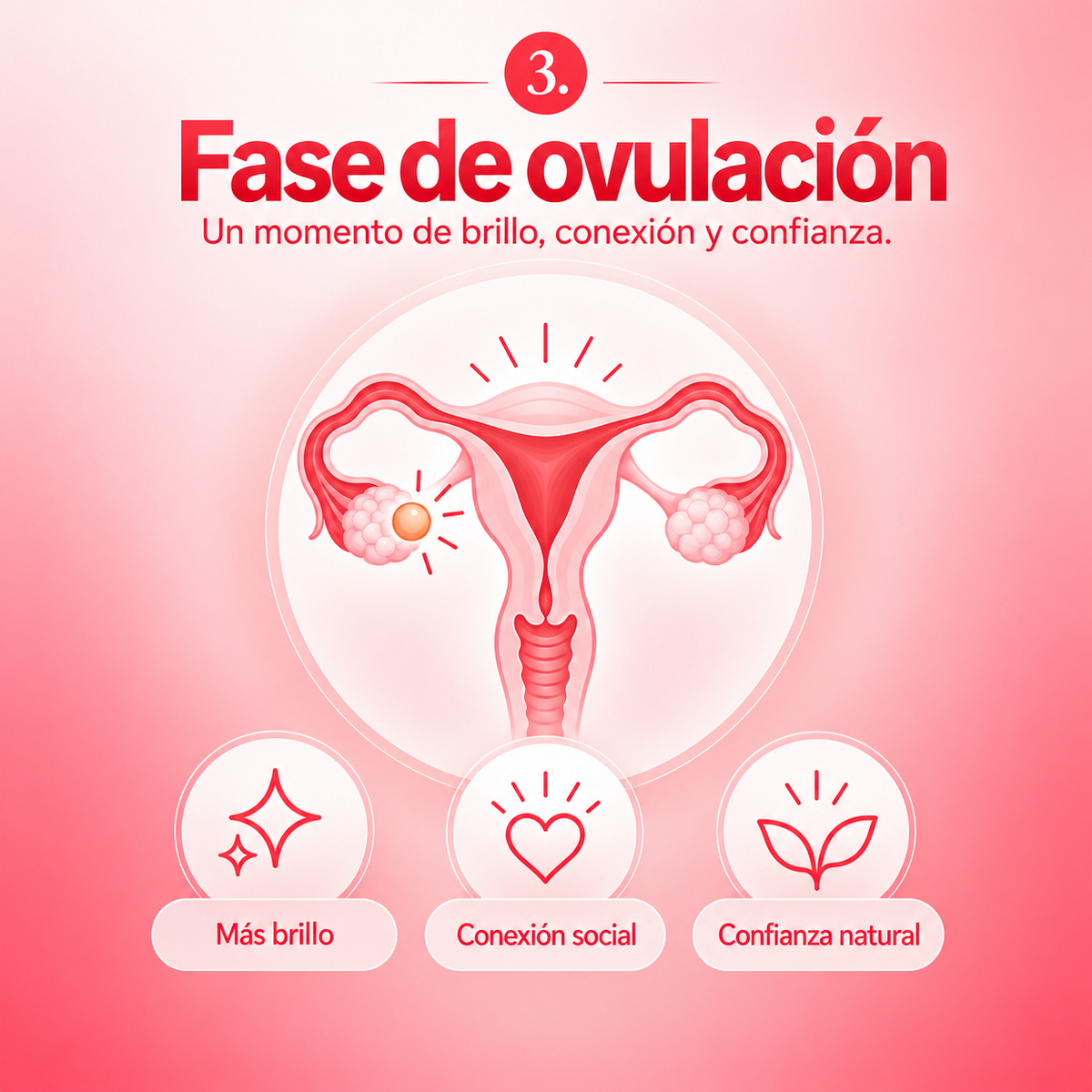 Fase ovulatoria